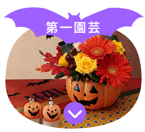 第一園芸