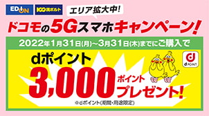 Dポイントクラブ エディオンでdポイントがたまる つかえる クーポンがつかえる