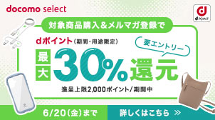 アクセサリー購入で最大30％ポイント還元
