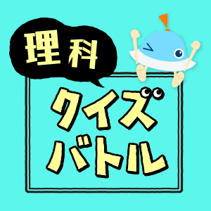 霧矢大夢さんDVDBOX 3/6 月組トップスター霧矢大夢・蒼乃夕妃―退団 [宝塚ファン] All