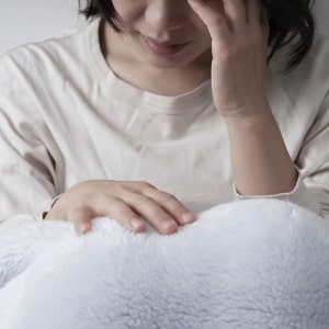 無所属－山本宏幸（1965-） [日本画] All About