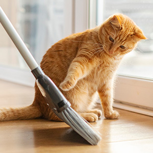 部屋干しに最適！ 三菱・3Dムーブアイ【MJ-120GX】 [除湿機] All