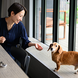 新品リチャードジノリPaola navone 2枚 リチャードジノリ最新ライフスタイルからベスト5 [インテリア