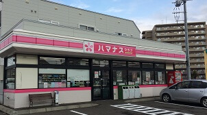 ハマナスクラブ