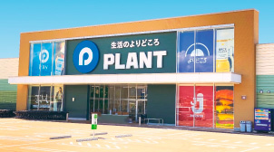 PLANT