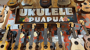 Ukulele Puapua（ウクレレプアプア）