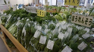 市民直売所おらんだ市場菜なポート