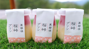 道の駅裏磐梯