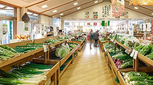 道の駅竜王かがみの里