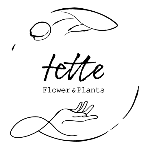 Flower&Plants tette
