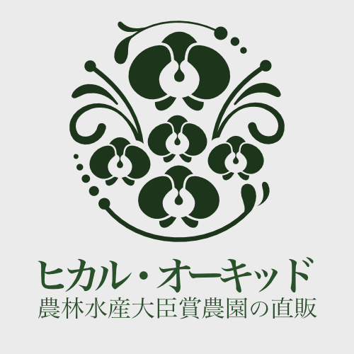 ヒカル・オーキッド